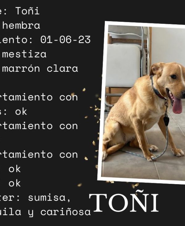 Toñi 1